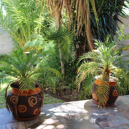 Van Biljon Cottage No Loadshedding Oudtshoorn Extérieur photo